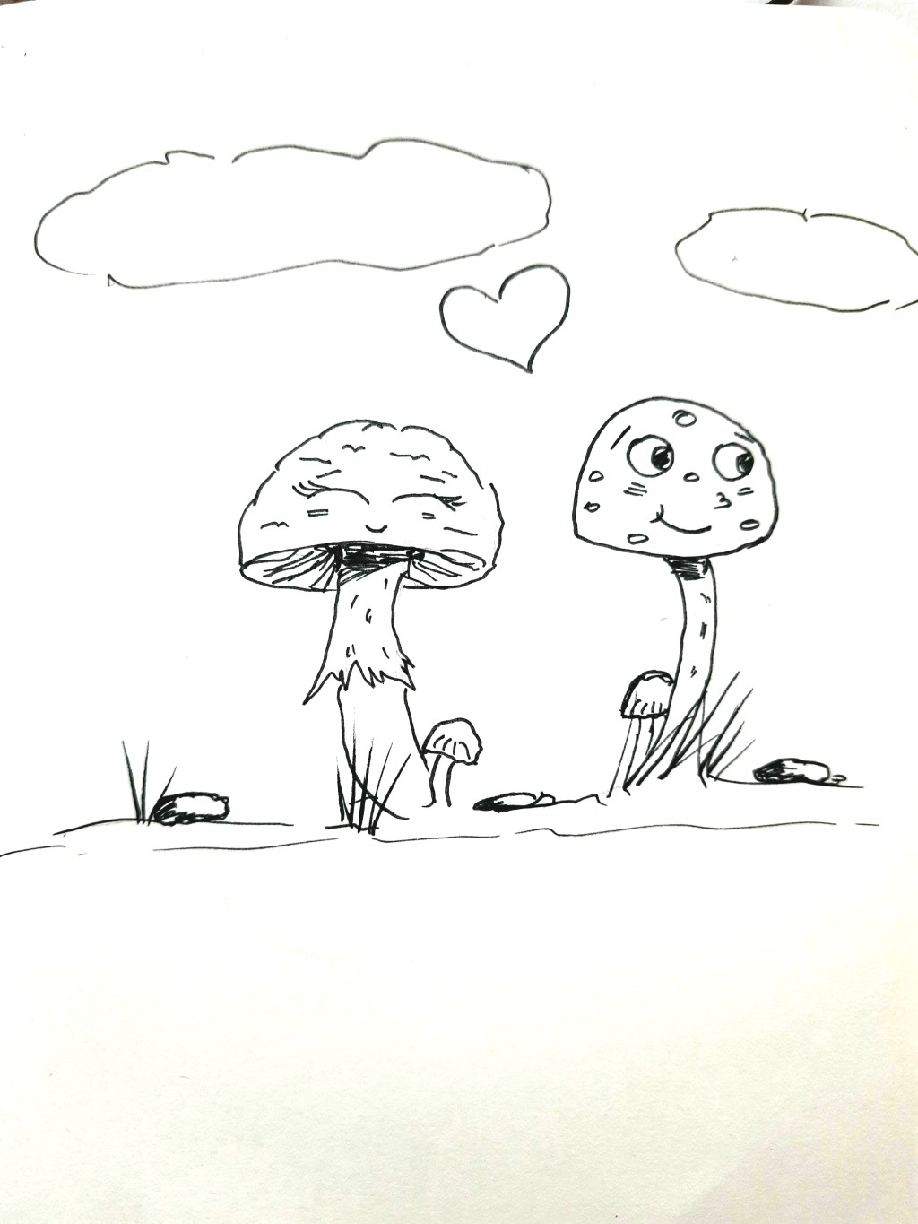 Fasting – week&nbsp;24