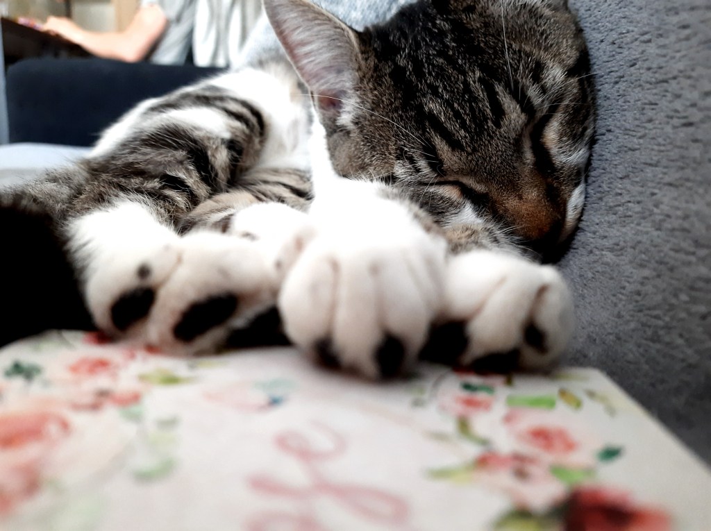 A few thoughts at the end of&nbsp;September