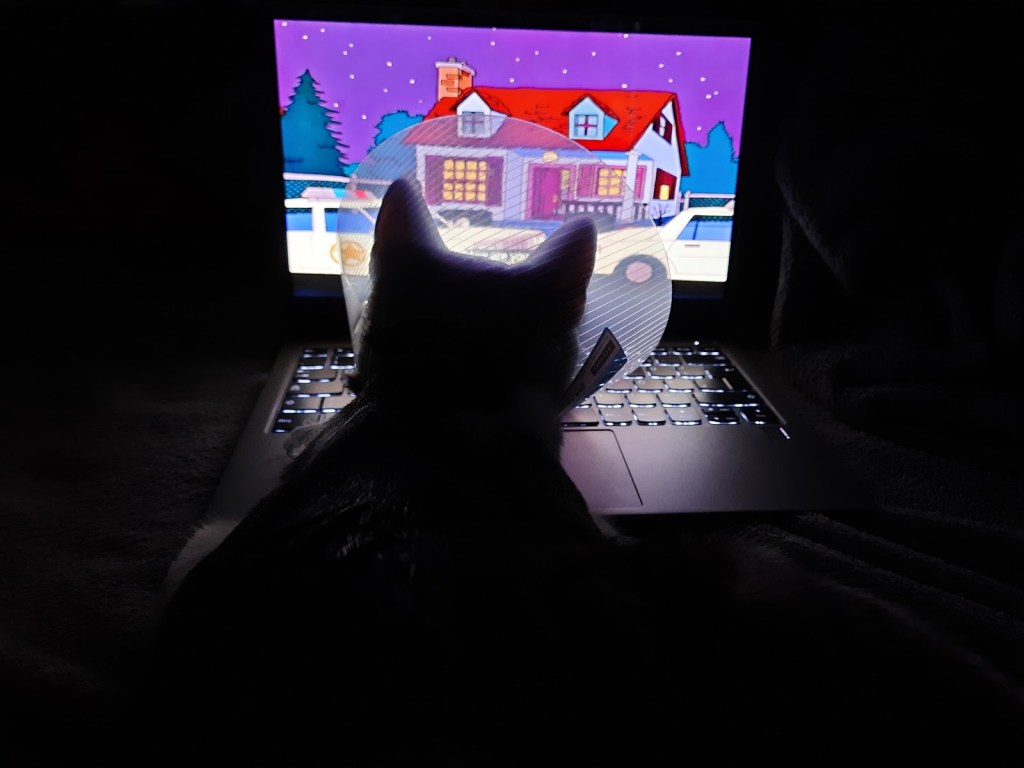 What I learned when we had our cat&nbsp;spayed